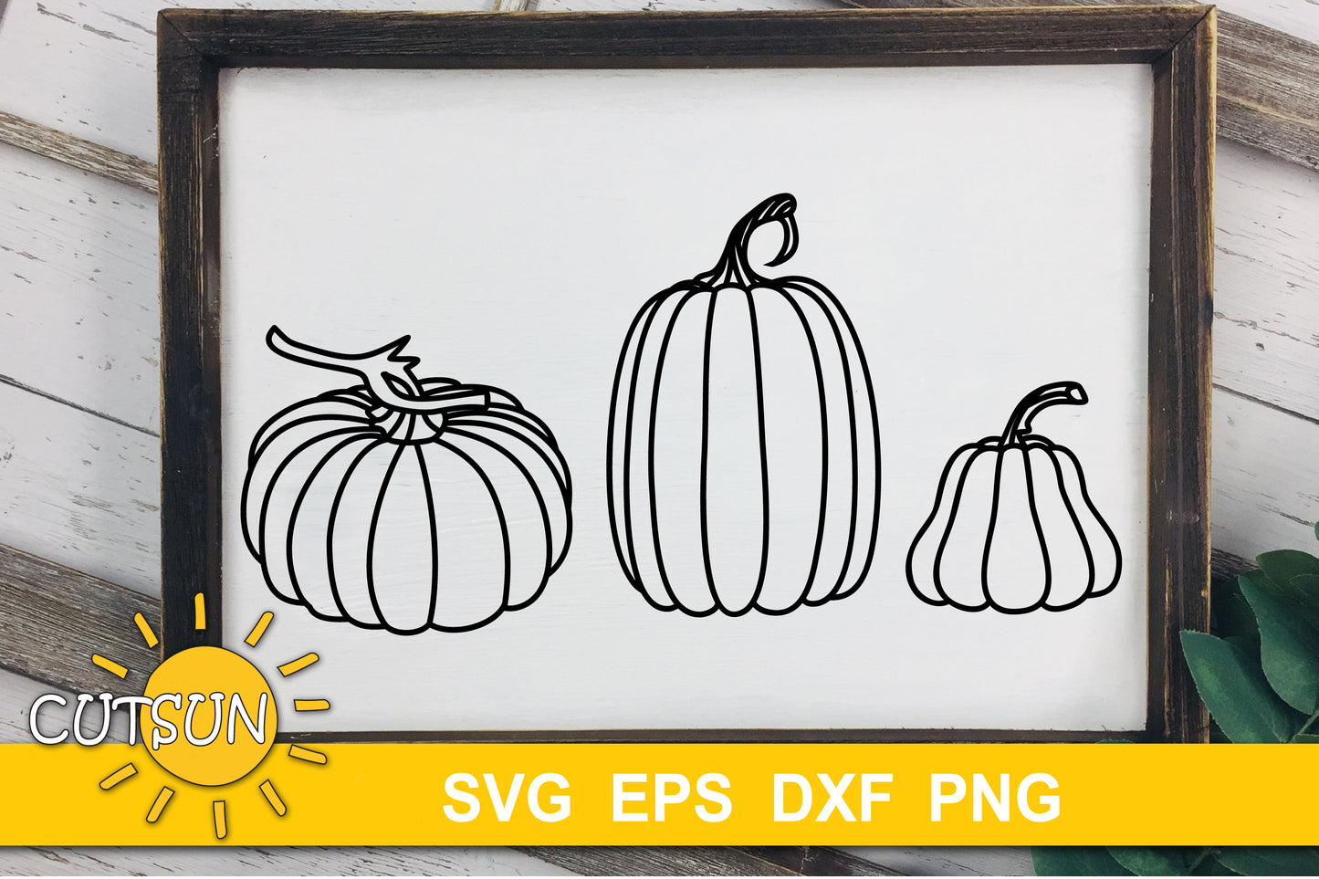 Hand Drawn Pumpkins SVG Bundle