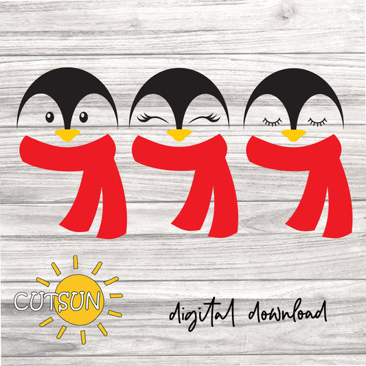 Three cute baby penguins with different expressions