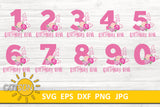 Birthday Diva SVG Bundle | Floral Numbers SVG bundle