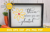 Bloom Where You Are Planted SVG cut file for crafters