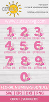 Birthday Diva SVG Bundle | Floral Numbers SVG bundle