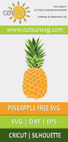 Pineapple free svg