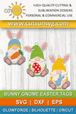 Easter ornaments Bunny gnomes SVG bundle
