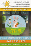 Hello Spring Bunny with Daisy door hanger SVG